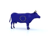 Euro cow